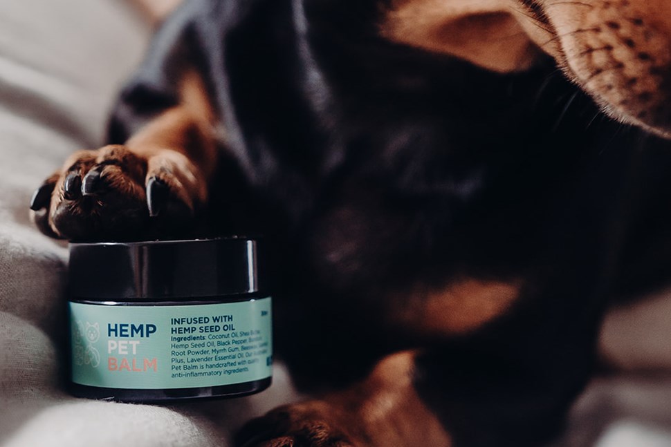 Hemp Collective - Pet Care Products