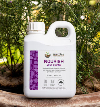 Nourish Image