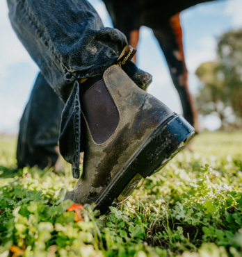 Redback Rider Series Boots Image
