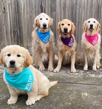 Byron & Co Bandanas Image