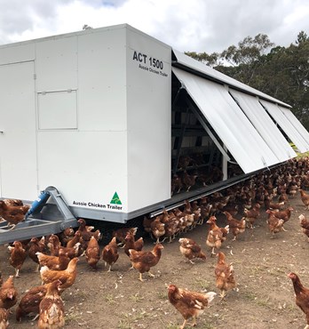 Aussie Chicken Trailers Image
