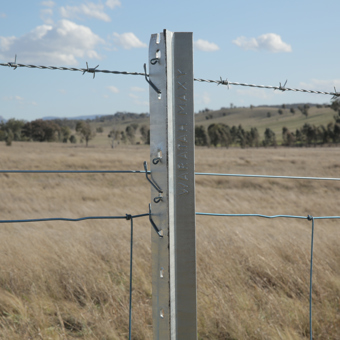 Waratah fencing