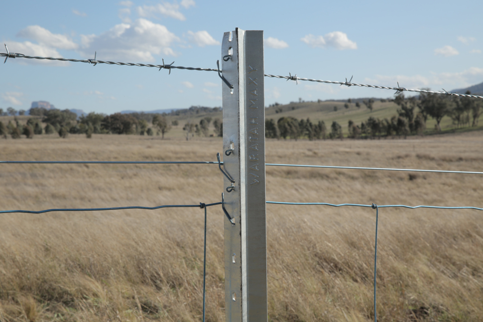 Waratah fencing