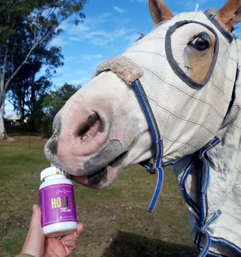 Horse Queened Hoof It- For hooves that deserve better than old-school goo. Image