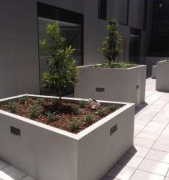 Planter boxes and Liners Image