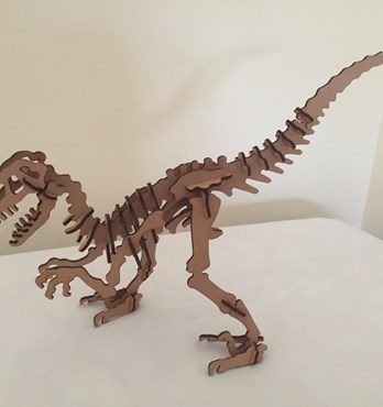 Dinosaur  Image