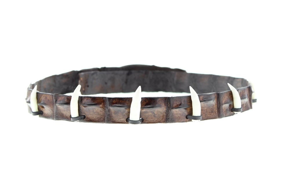 Crocodile Hatband With Croc Teeth