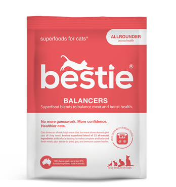 The Allrounder balancers for cats and dogs Image