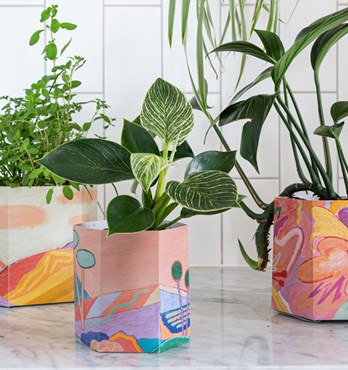 Pop Up Pots Image