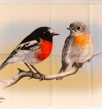 Spotted Robin Tea Towels Image