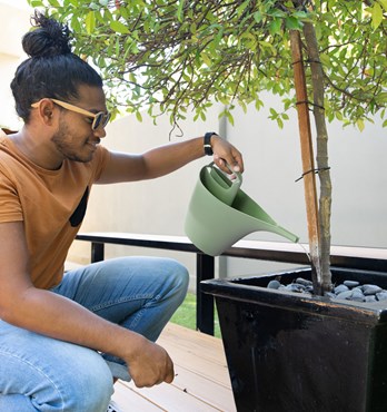 Holman ECO Watering Cans Image