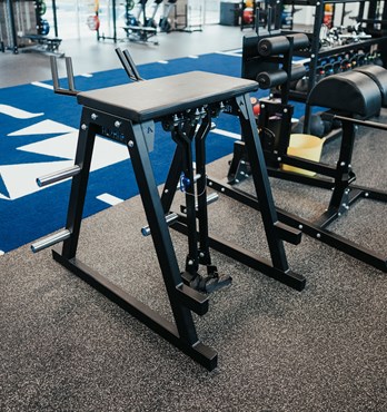 Gym Equipment - Dual Pendulum Reverse Hyper Image
