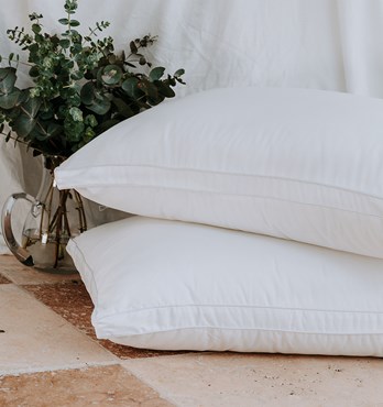 Eco-Tencel Pillows Image