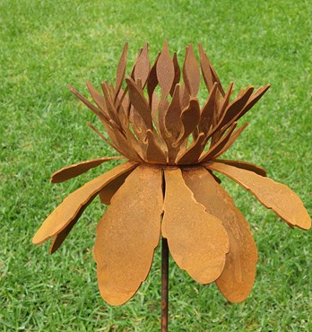 Waratah Flower Garden Stake - Australian Made Rusted Metal Garden Art Image