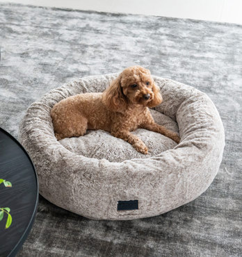 Harley Dog Bed Image