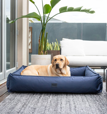 Dog Lounger  Image