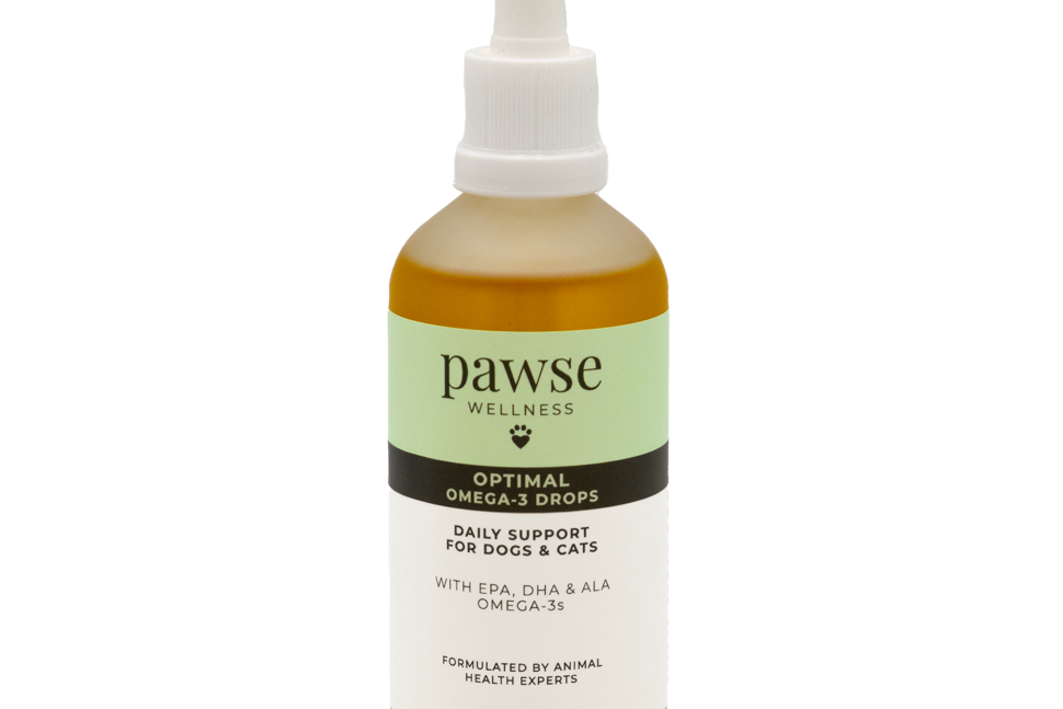 Omega-3 Fish Oil for Cats and Dogs