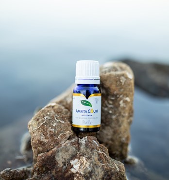 Purify Essential Oil Blend Image