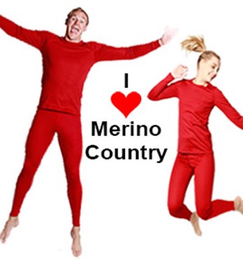 Merino Wool Thermals Image