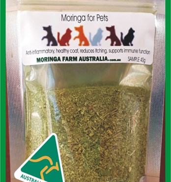 Moringa for Pets Image