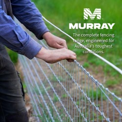 Murray Fencing