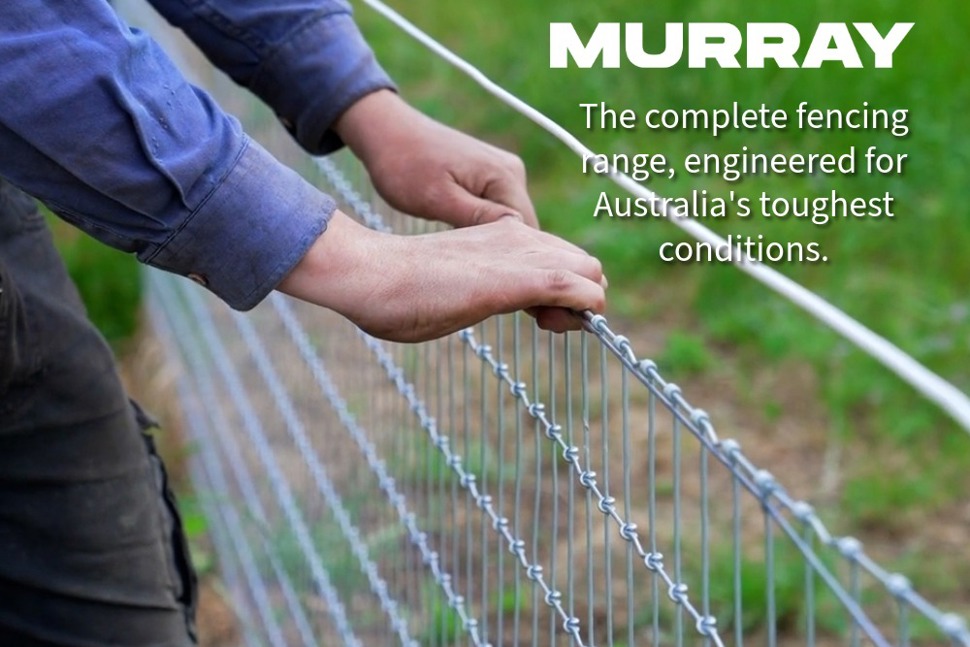 Murray Fencing