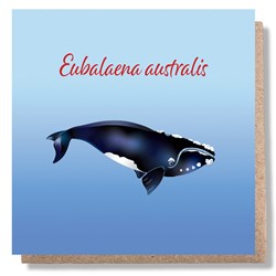 Southern Right Whale Greeting Card