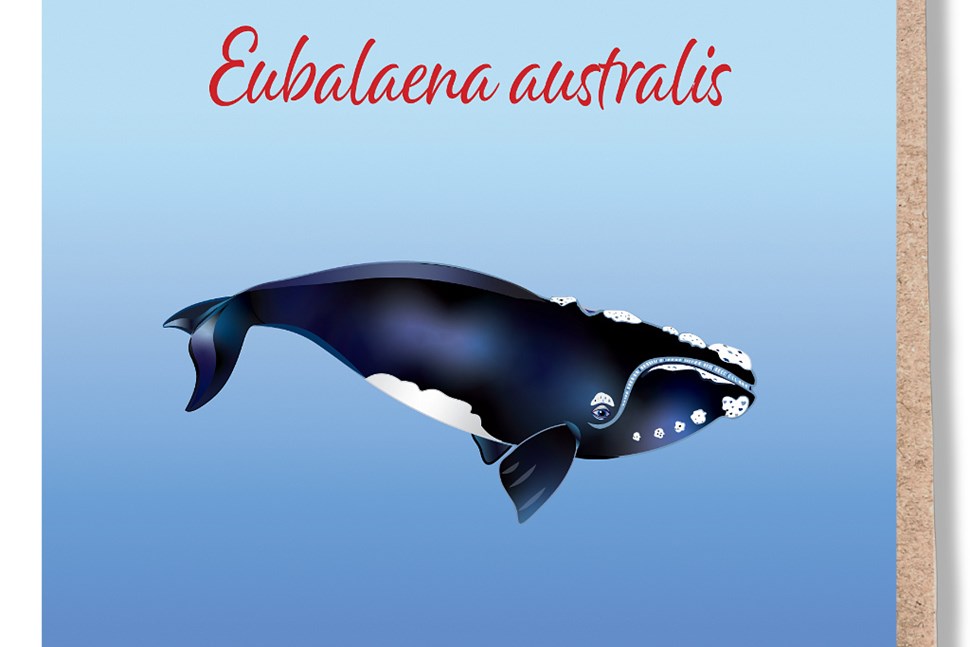 Southern Right Whale Greeting Card