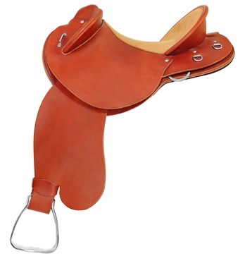 Saddles Image