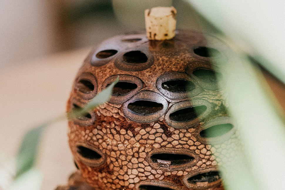 Banksia Aroma Pod