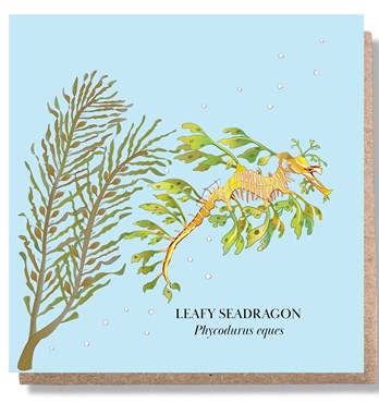 Leafy Seadragon Greeting Card Image