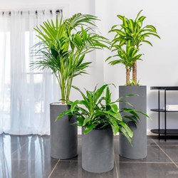 Cylindro Planter range