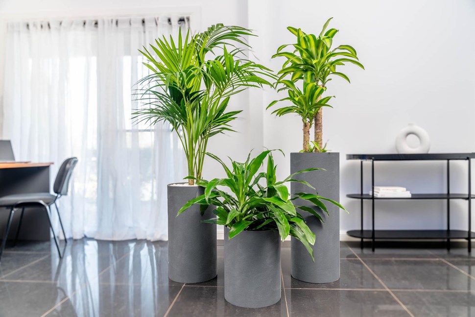 Cylindro Planter range