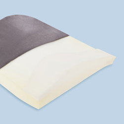 Back Form Cushion