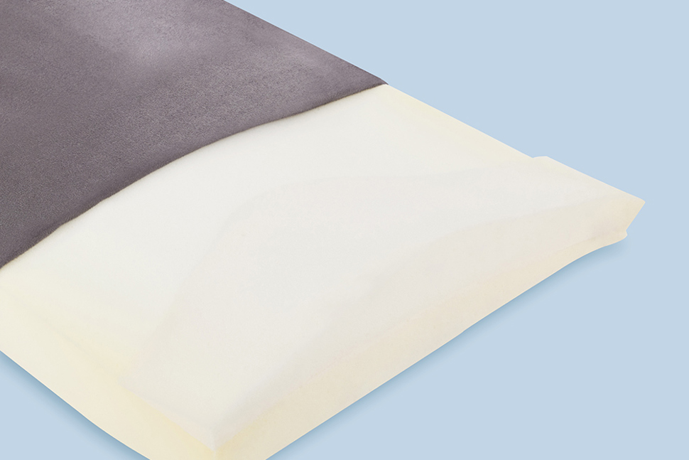 Back Form Cushion