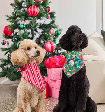Dog Bandanas Image
