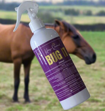 Horse Queened Bug It Image