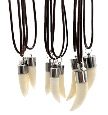 Crocodile Tooth Necklace Image