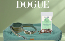 DOGUE