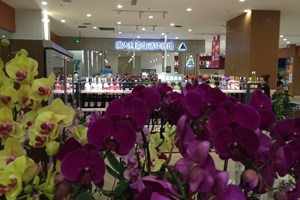 Oz-Town opens second store featuring Aussie products in China