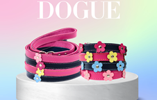 DOGUE
