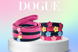 DOGUE
