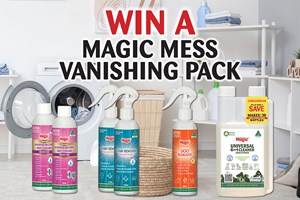 Magic Stain Remover Spray 