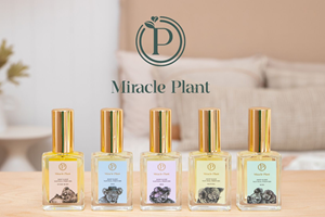 Aussie Made Club Giveaway: Miracle Plant