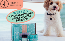 Hemp Collective’s Natural Hemp Pet Products