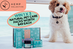 Hemp Collective’s Natural Hemp Pet Products