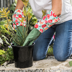 Spring into the garden with these Australian Made products