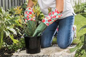 Spring into the garden with these Australian Made products