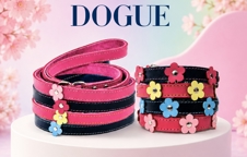 Handcrafted DOGUE Flower Pop Dog Collar and Matching Lead
