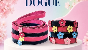 Handcrafted DOGUE Flower Pop Dog Collar and Matching Lead